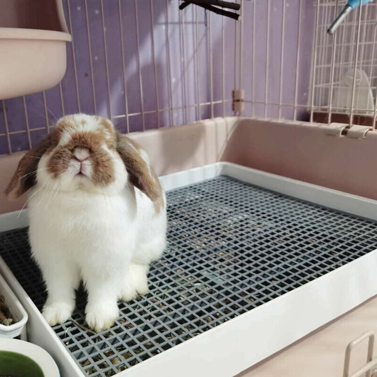 Rabbit Litter Box with Grate, Bunny Restroom Litter Tray Small Animals Toilet Potty Trainer