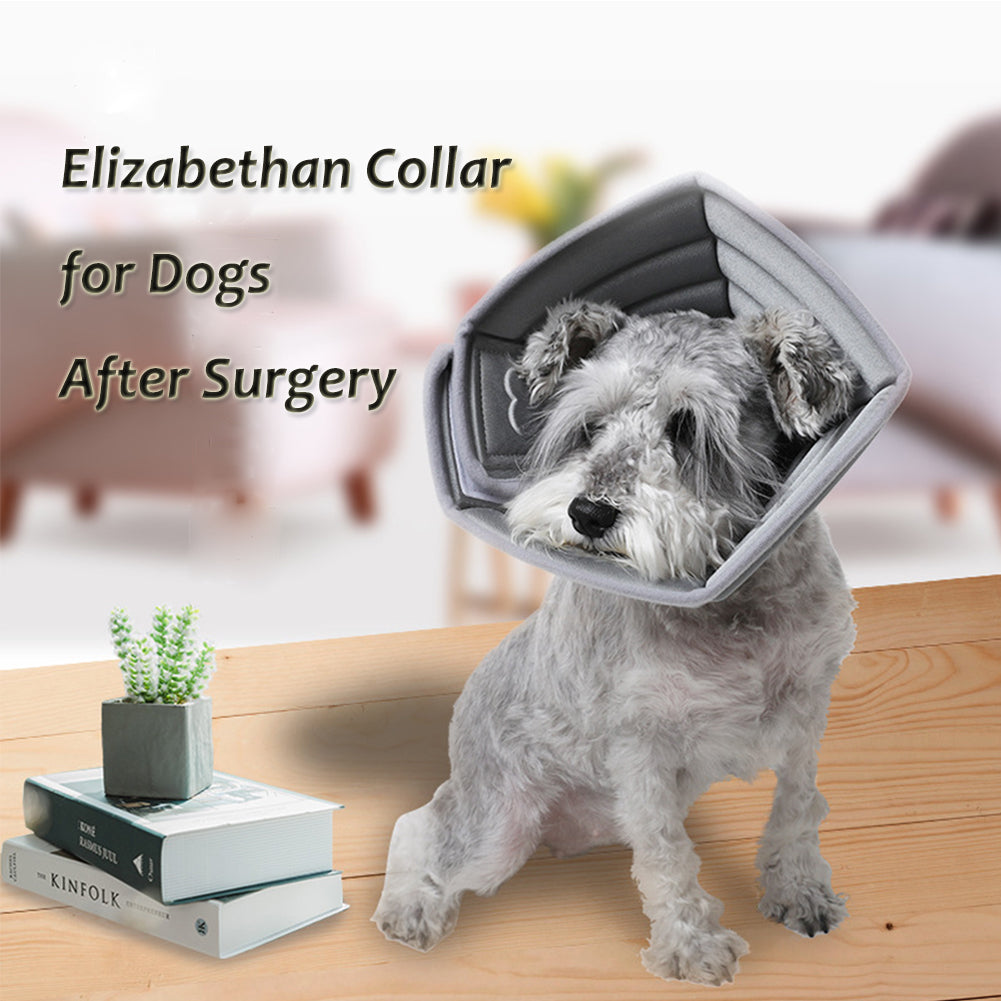 Dog Cone, Cone for Dogs After Surgery, Comfy Soft Dog Cone Protective Collar for Wound Healing, Adjustable Pet Recovery Cone Collar for Dogs and Cats