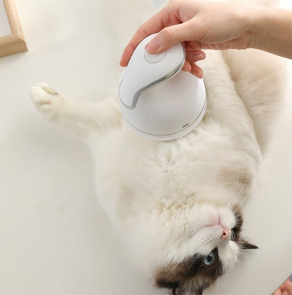 Electric Scalp Massager for Cats, Portable Pet Head Massager, Automatic Rotate Massager for Hair Growth Blood Circulation Head Relaxation