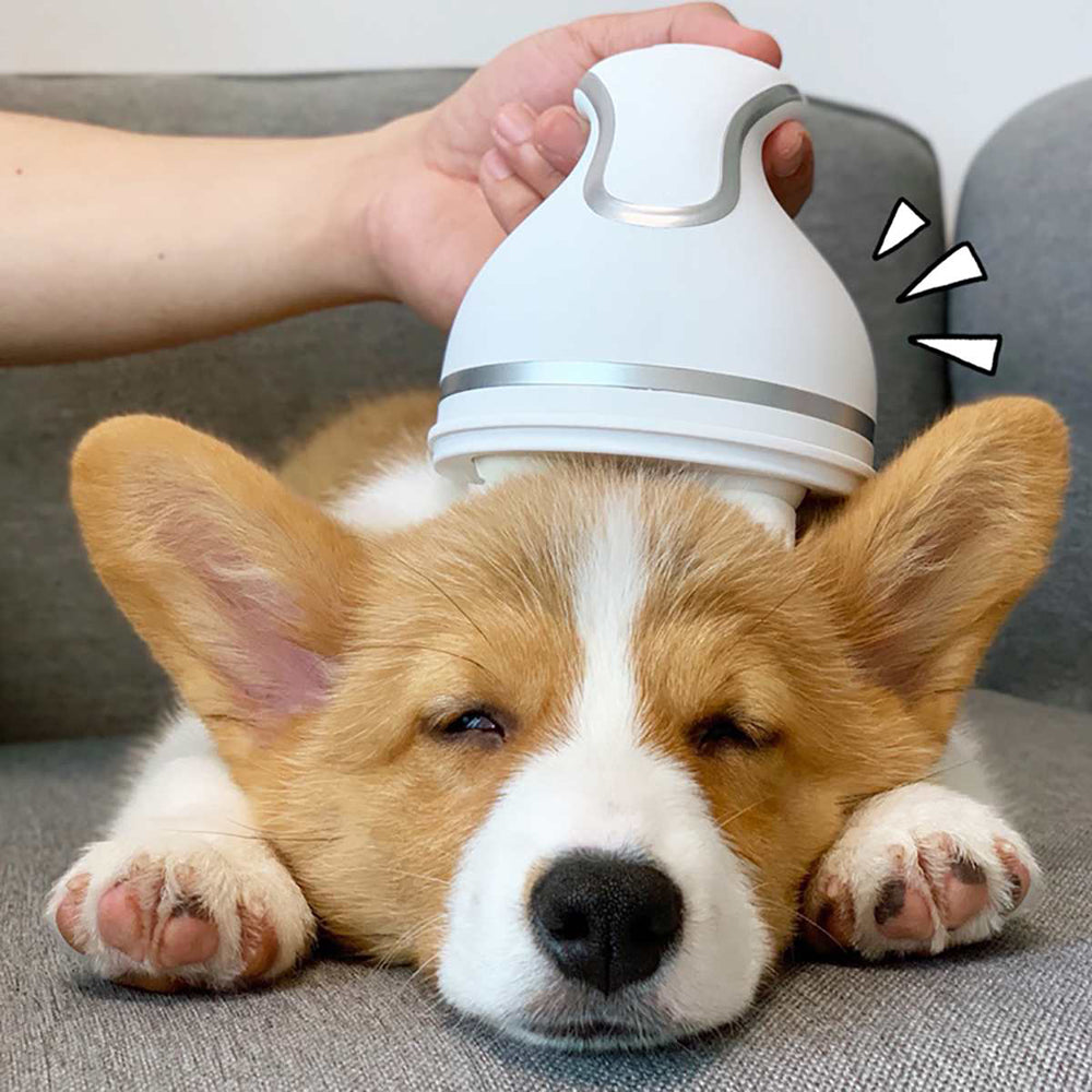 Electric Scalp Massager for Cats, Portable Pet Head Massager, Automatic Rotate Massager for Hair Growth Blood Circulation Head Relaxation